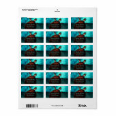Hawaii Turtle-fotolabel Etiket (Full Sheet)