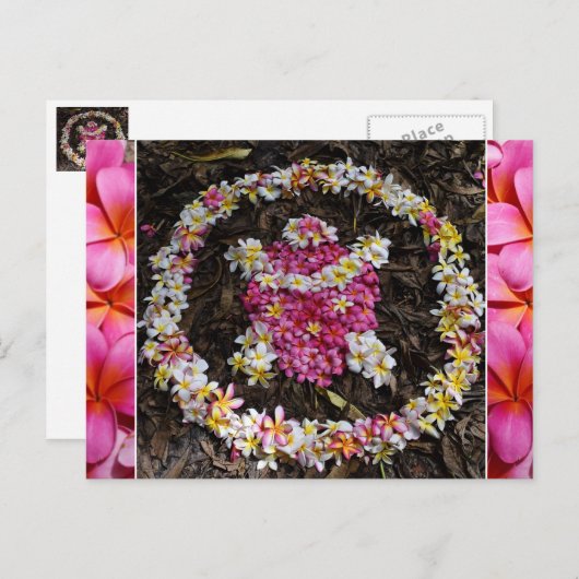 Hawaii Turtle Honu Plumeria Summer Flower Paradise Briefkaart (Voorkant / Achterkant)