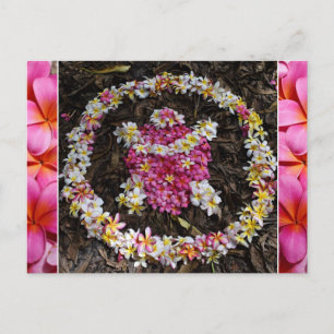 Hawaii Turtle Honu Plumeria Summer Flower Paradise Briefkaart