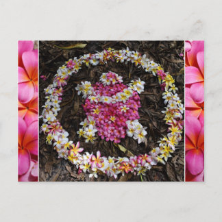Hawaii Turtle Honu Plumeria Summer Flower Paradise Briefkaart