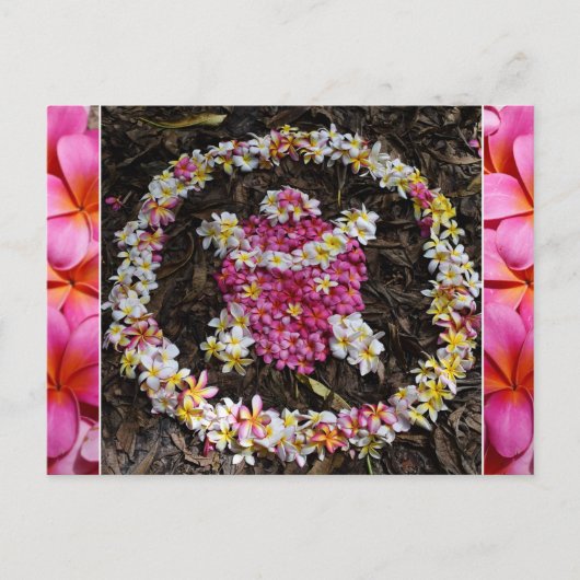 Hawaii Turtle Honu Plumeria Summer Flower Paradise Briefkaart (Voorkant)