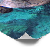 Hawaii Turtle Honu Poster (Hoek)