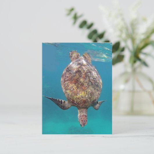 Hawaii Turtle Shell Briefkaart (Staand voorkant)