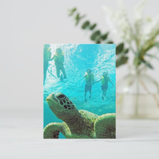 Hawaii Turtle & Snorkelers Briefkaart (Staand voorkant)