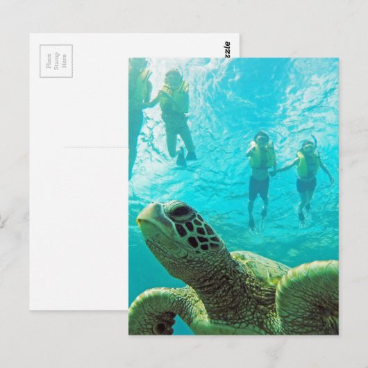 Hawaii Turtle & Snorkelers Briefkaart (Voorkant / Achterkant)