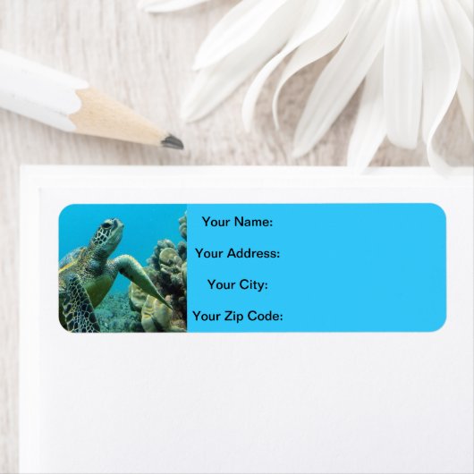 Hawaii Turtles Etiket (Insitu)