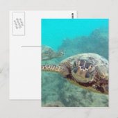 Hawaii Turtles - Honu Briefkaart (Voorkant / Achterkant)