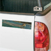 Hawaii Turtles - Honu Bumpersticker (Op Truck)