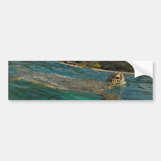 Hawaii Turtles - Honu Bumpersticker (Voorkant)