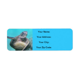 Hawaii Turtles - Honu Etiket