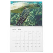 Hawaii Turtles Kalender (Jan 2026)