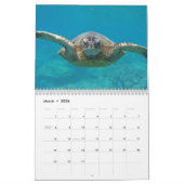 Hawaii Turtles Kalender (Mar 2026)