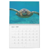 Hawaii Turtles Kalender (Mar 2027)