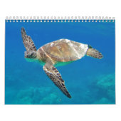 Hawaii Turtles Kalender (Hoes)