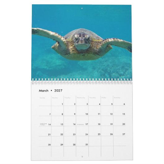Hawaii Turtles Kalender (Mar 2027)