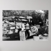 Hawaii - Uitzicht van een inheemse plantaardige ag Poster (Voorkant)