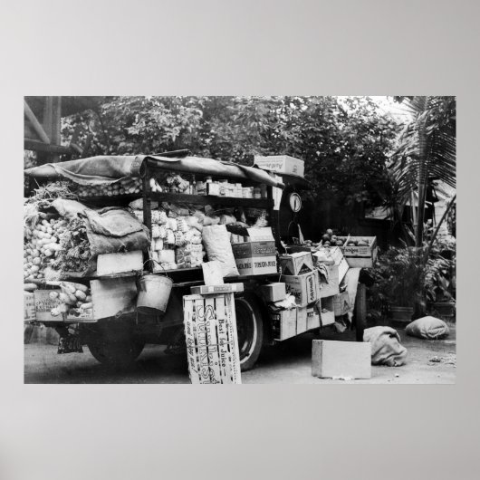 Hawaii - Uitzicht van een inheemse plantaardige ag Poster (Voorkant)