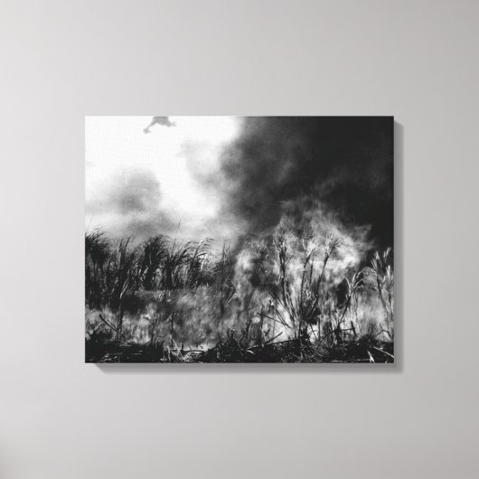 Hawaii - Uitzicht van het veld Suikerriet in brand Canvas Afdruk (Voorkant)