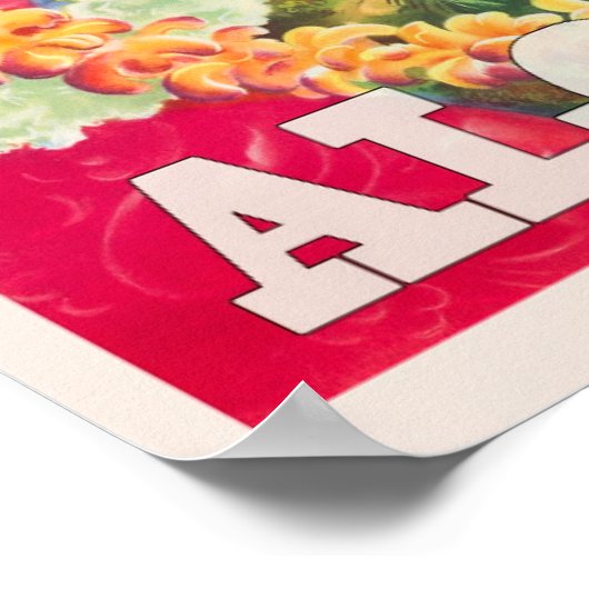 Hawaii Vintage Travel Poster (Hoek)