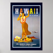Hawaii Vintage Travel Poster (Voorkant)