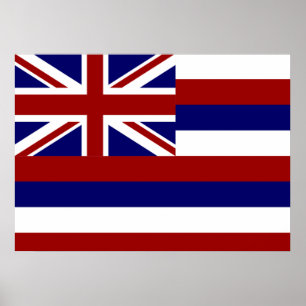 Hawaii-vlag Poster