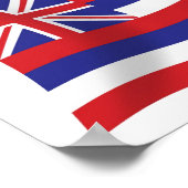 Hawaii Vlag Poster Afdruk (Hoek)