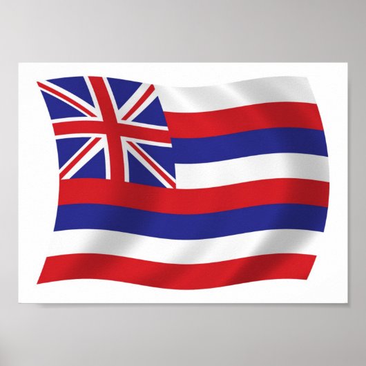 Hawaii Vlag Poster Afdruk (Voorkant)