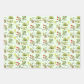 Hawaii Volcano Native Plants Wrapping Paper (Voorkant 3)