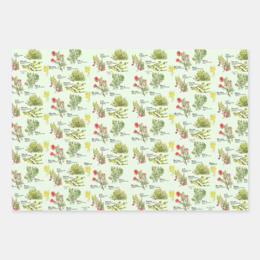 Hawaii Volcano Native Plants Wrapping Paper (Voorkant 3)