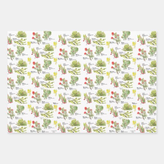 Hawaii Volcano Native Plants Wrapping Paper (Voorkant 2)