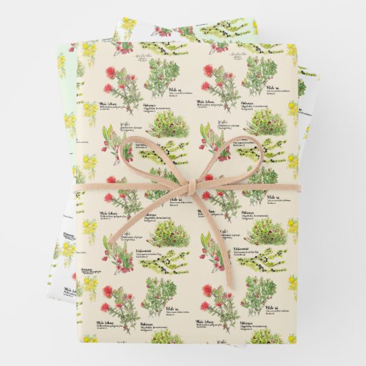 Hawaii Volcano Native Plants Wrapping Paper (In situ)