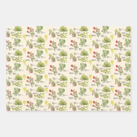 Hawaii Volcano Native Plants Wrapping Paper (Voorkant)