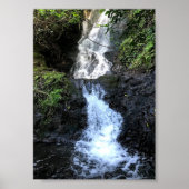Hawaii Waterfall Poster (Voorkant)