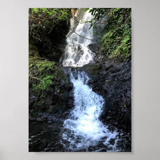 Hawaii Waterfall Poster (Voorkant)