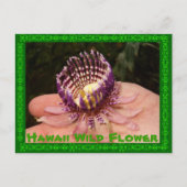 Hawaii Wild Flower Briefkaart (Voorkant)