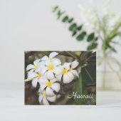 Hawaii, witte bloemen, postkaart (Staand voorkant)
