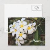 Hawaii, witte bloemen, postkaart (Voorkant / Achterkant)