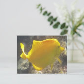 Hawaii Yellow Tang Fish Briefkaart (Staand voorkant)