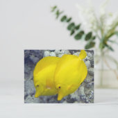 Hawaii Yellow Tang Fish Briefkaart (Staand voorkant)