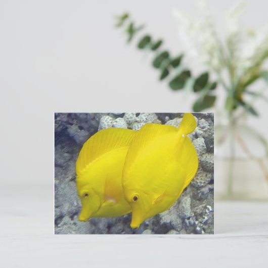 Hawaii Yellow Tang Fish Briefkaart (Staand voorkant)