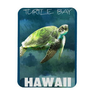 Hawaii Zee Turtle Artistic Magneet
