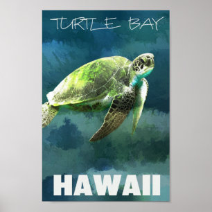 Hawaii Zee Turtle Artistic Poster