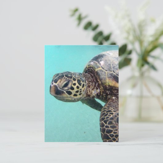 Hawaii Zee Turtle Briefkaart (Staand voorkant)