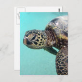 Hawaii Zee Turtle Briefkaart (Voorkant / Achterkant)