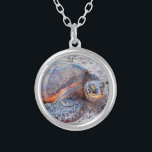 Hawaii Zee Turtle Honu Foto Eenvoudig Bold Modern Zilver Vergulden Ketting<br><div class="desc">Zeeen schildpadden weten zeker hoe ze in de zon kunnen ontspannen. Drijf terug naar de warme bries van de Hawaïaanse eilanden wanneer je dit schattige, stijlvolle, foto charme ketting van een close up van een Hawaïaanse "honu" zeeen schildpad draag. Dit ketting is verkrijgbaar in kleine, middelgrote en grote maten, evenals...</div>