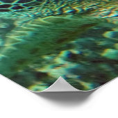 Hawaii Zee Turtle Poster (Hoek)