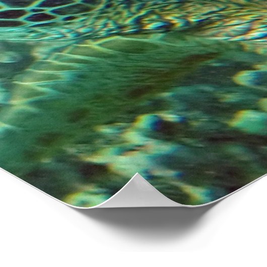 Hawaii Zee Turtle Poster (Hoek)