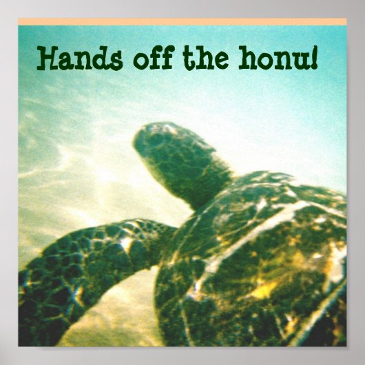 Hawaii Zee Turtle Protection Poster (Voorkant)