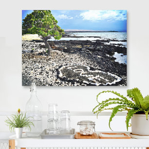 Hawaii Zwarte Zandstrand Koraal Liefdeshart Foto Canvas Afdruk