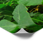 Hawaiiaans regenwoud poster (Hoek)